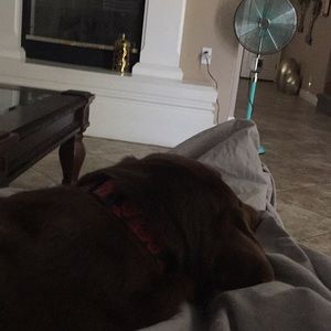 Meet your Posher, Kaylee